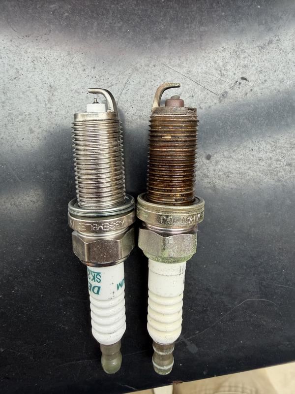 New vs Old