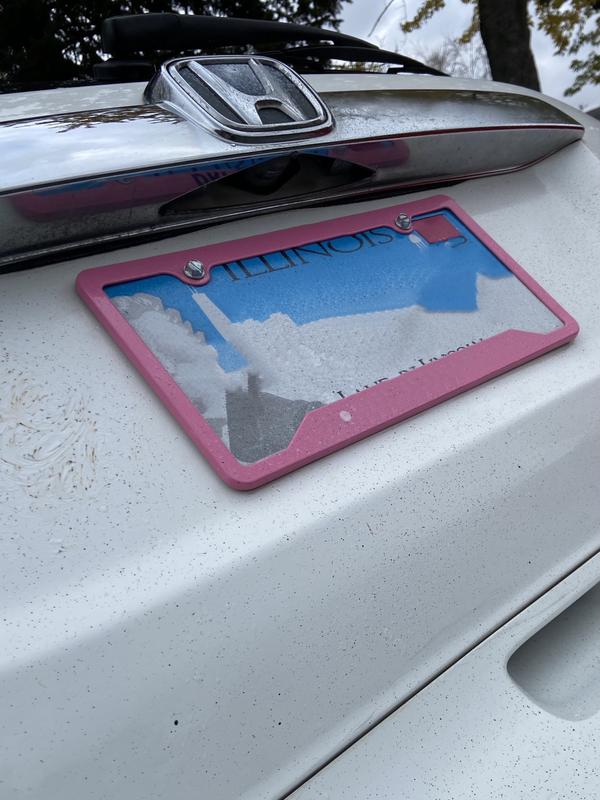 Turtle Wax Bug and Tar Remover Spray 16oz Reviews