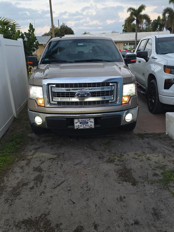 Customer review image