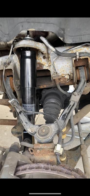 Duralast Suspension Shock Absorber TS34-31351B