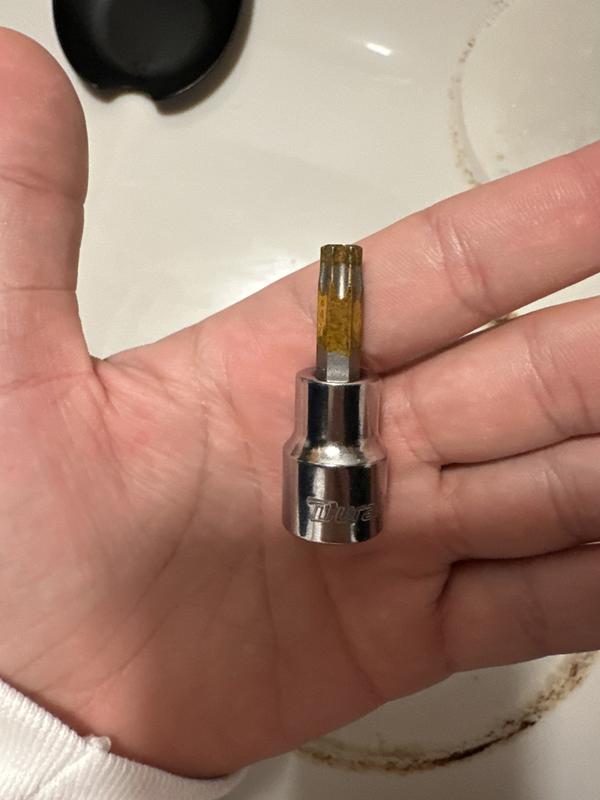 Duralast 3/8in Drive T-40 Torx Bit