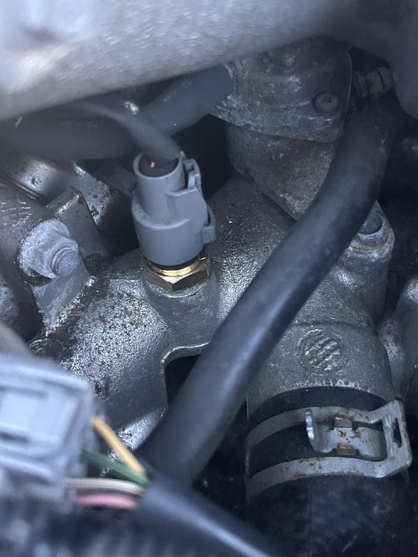 Duralast Coolant Temperature Sensor SU4006 | AutoZone