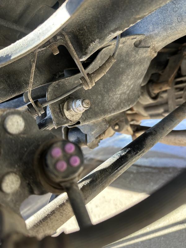 Customer review image