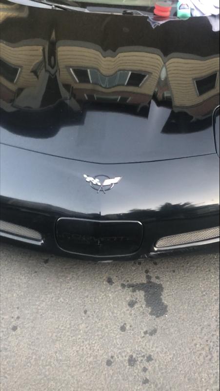 Fender after paint and polish