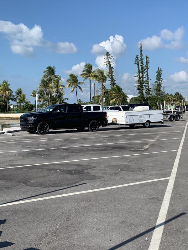 REESE Elite Black Nickel Receiver Reviews