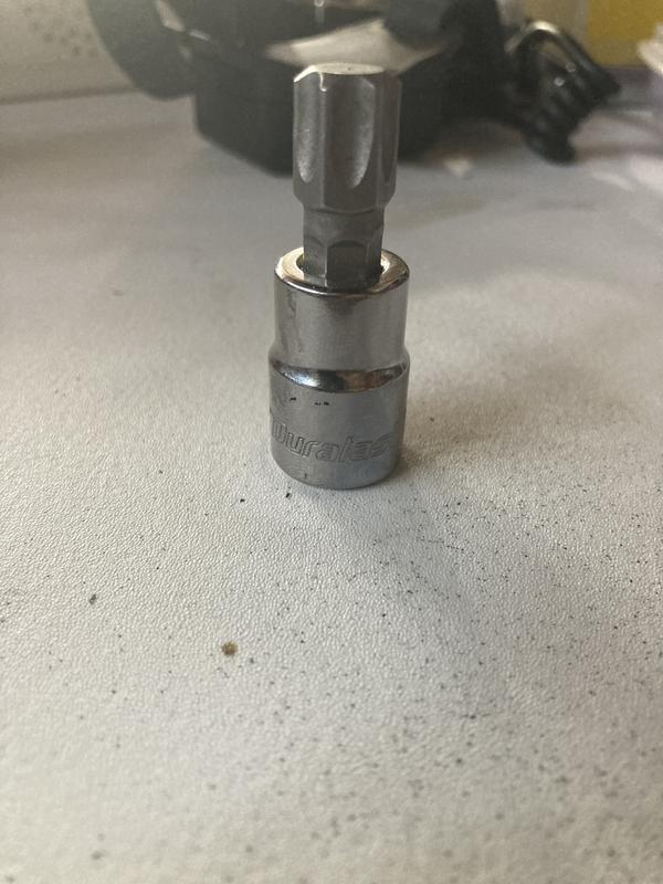Duralast 3/8in Drive T-55 Torx Bit