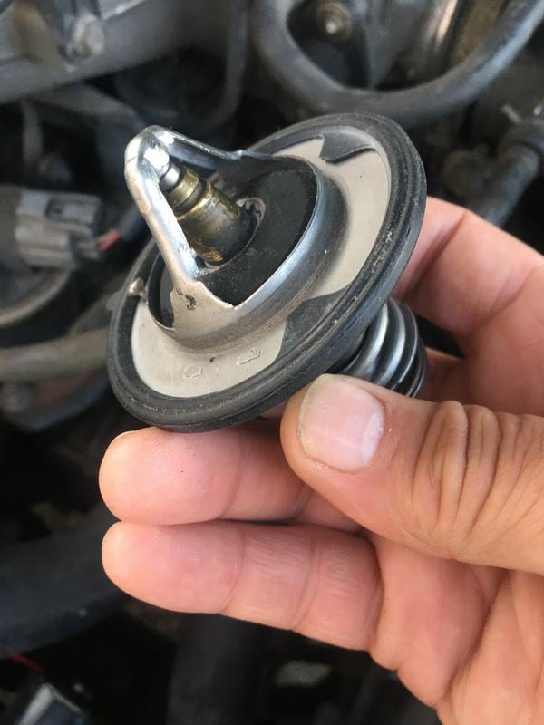 Duralast Thermostat 4127 Reviews