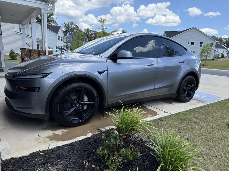 Customer review image