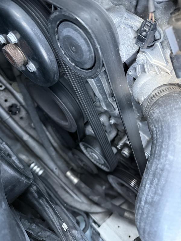 ビタレバン　6本 61Kz7O2FIZL._AC_SY200_QL15_.jpg