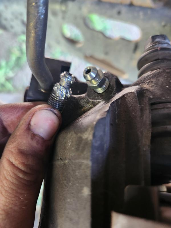 Dorman Brake Bleeder Screw 13901 | AutoZone