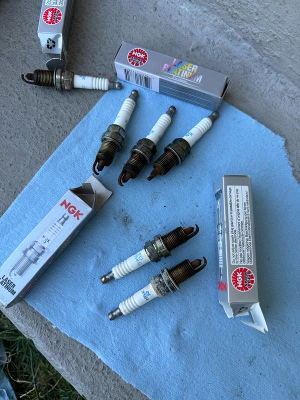 NGK Laser Double Platinum Spark Plug 7781
