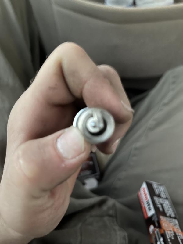 Customer review image