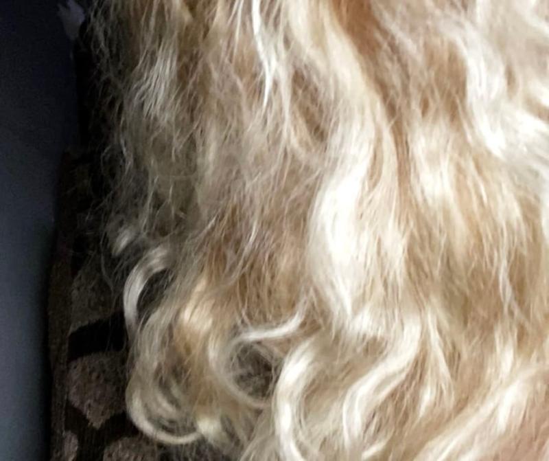 Customer photo for "be curly enhancer"