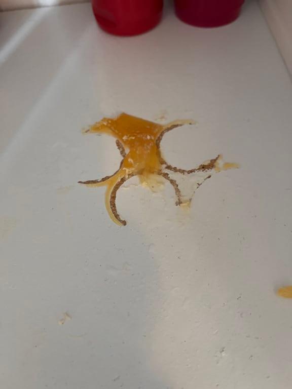 Customer photo for "Extremely concerning leaking containers"