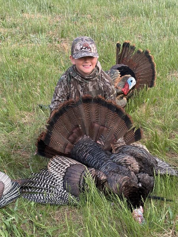 Mack’s WV bird