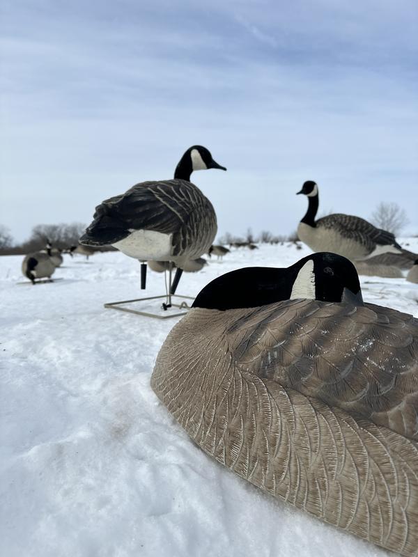 AVIAN-X Official Site | Replacement Parts | Goose Tube