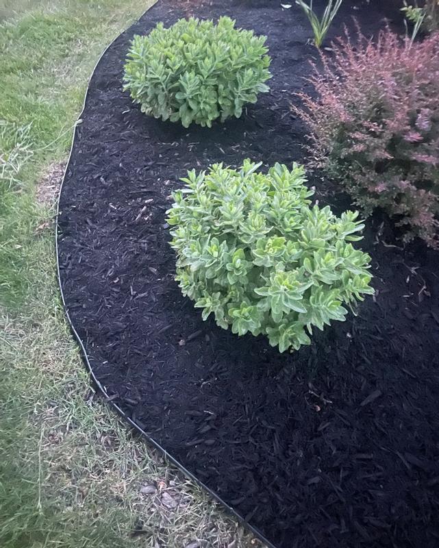 Master Mark 25-ft x 1.5-in Black Plastic Landscape Edging Roll 41225-1 ...