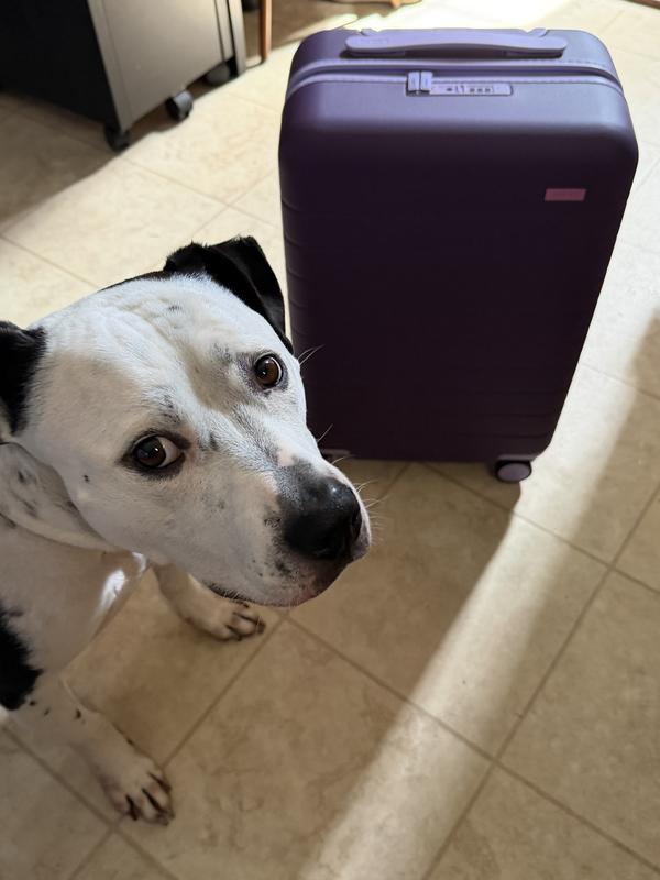 Customer photo for "Carry-On size in Misty Purple"