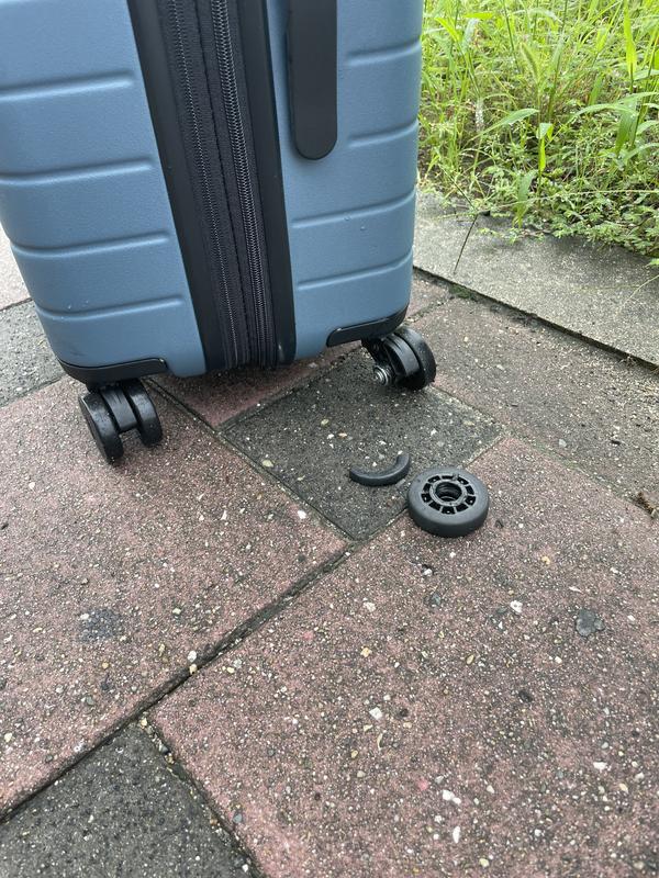 The Bigger Carry-On Flex in Olive Green Away: Built for modern