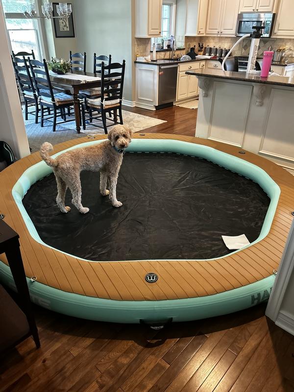 Photo submitted with review of product