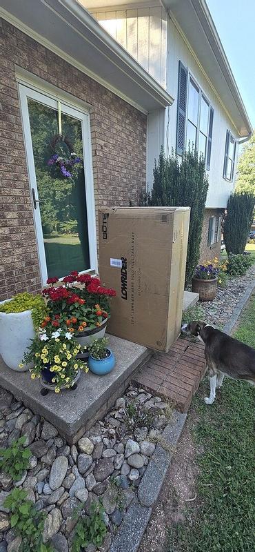 Photo submitted with review of product
