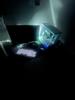 Guide de l'utilisateur du clavier de jeu mécanique rétroéclairé logitech G413