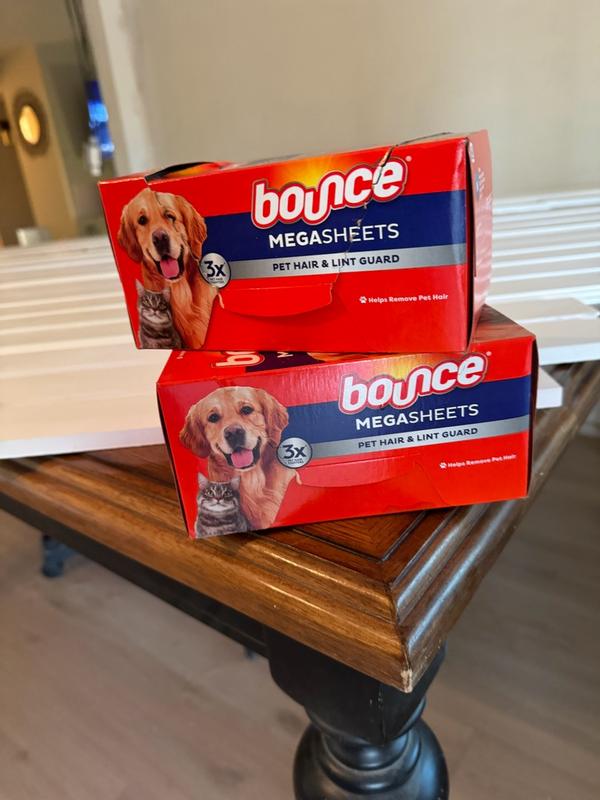 Photo - commentaire&nbsp;8.