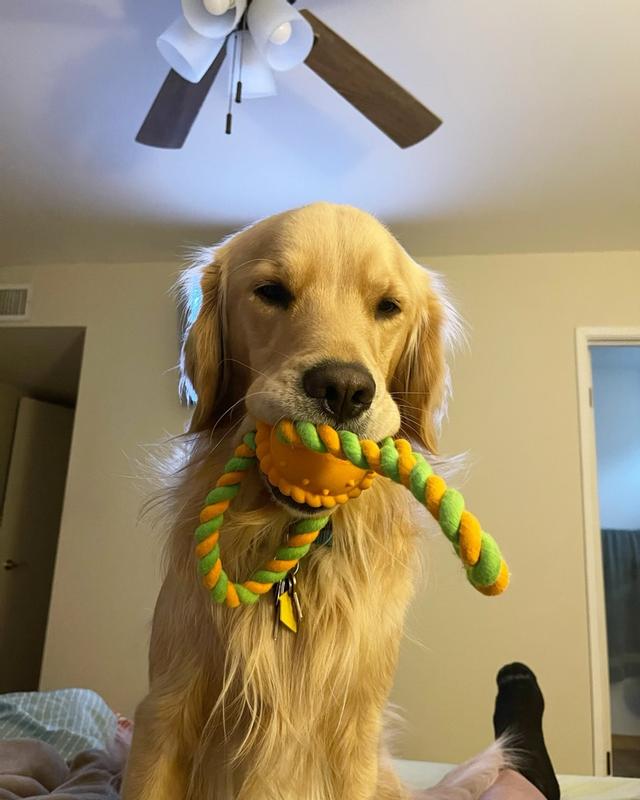 Photo - commentaire&nbsp;7.