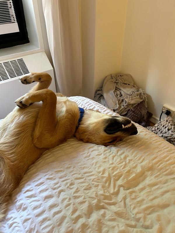 Photo - commentaire 5.