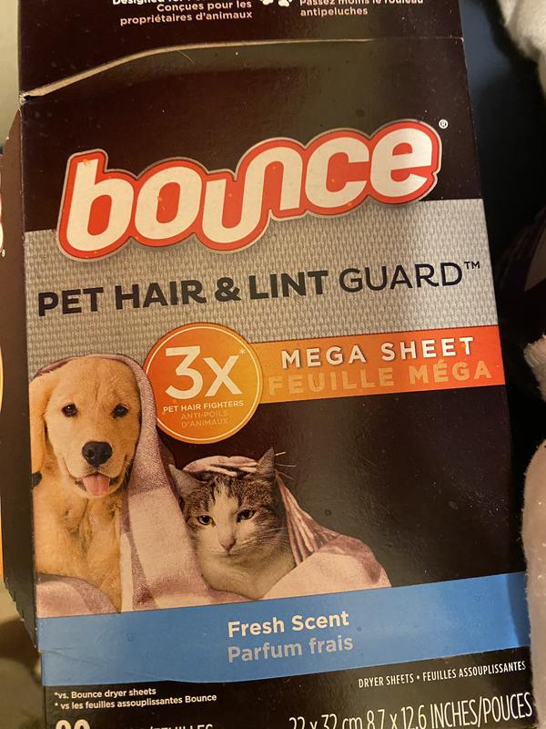 Are Used Dryer Sheets Bad For Dogs