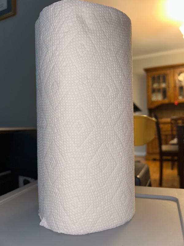 How to install papertowels in the holder @Bounty Paper Towels