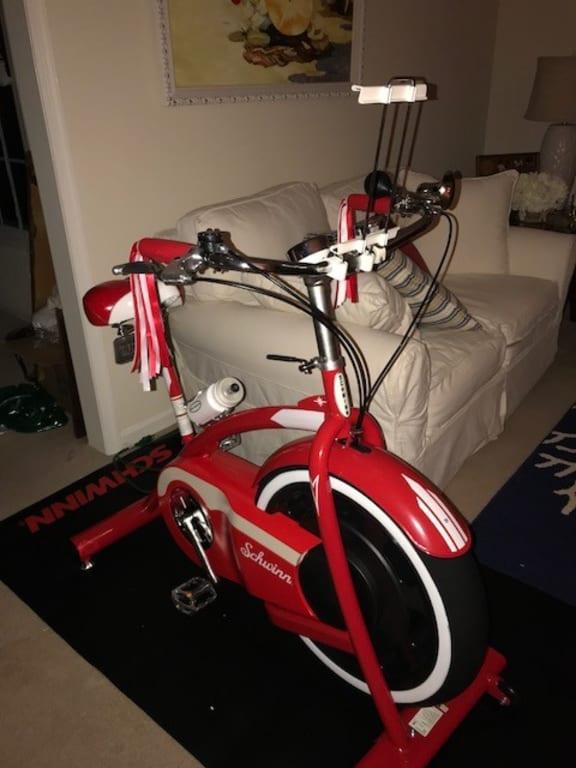 schwinn classic cruiser exercise bike reviews