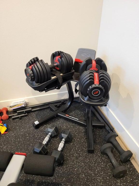 Bowflex SelectTech 552 Dumbbells Pair Holiday 2024 at DICK S