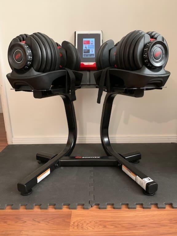 Bowflex 100182 SelectTech 552 Dumbbells with Workout DVD