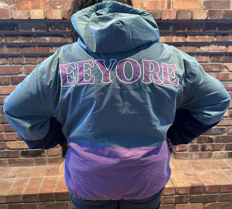 Disney Winnie the Pooh Eeyore Color Block Windbreaker