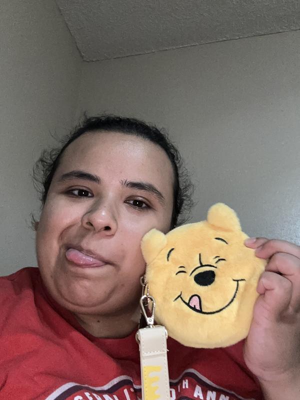 Winnie the outlet pooh purse boxlunch