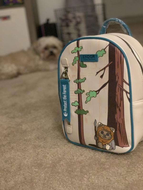 Star Wars Endor Protect the Forest Mini Backpack - BoxLunch  display picture 1