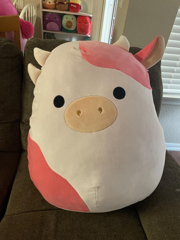 Sale Squishmallows Reshma 24