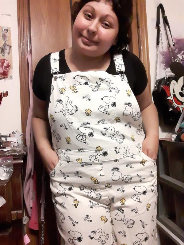 Peanuts Snoopy and Woodstock Allover Print Women's Overalls