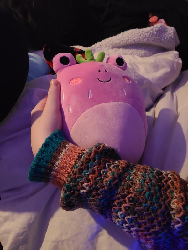 Finally! My fake Adabelle strawberry frog arrived in the mail 🍓🐸 I can't  get over how cute she is : r/squishmallow