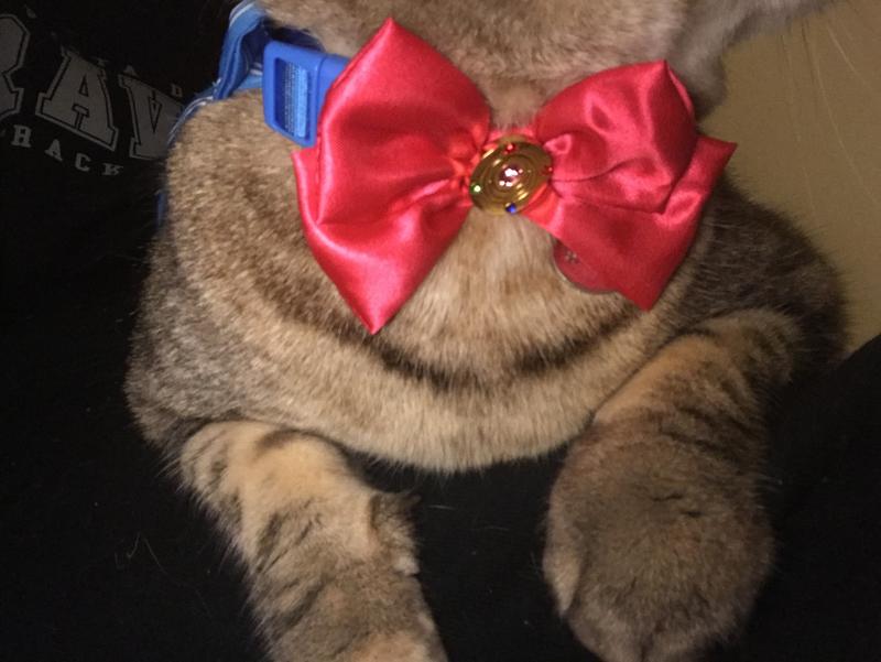 Sailor Moon Sailor Uniform Cat Collar - BoxLunch Exclusive