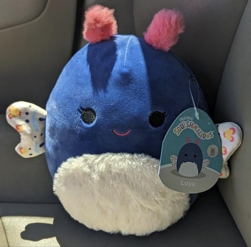 Squishmallows Luya the Rare Blue Moth 8 Inch Plush