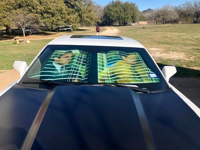 The Office Sitcom Limited Edition Car Auto Sun Shade, The Office