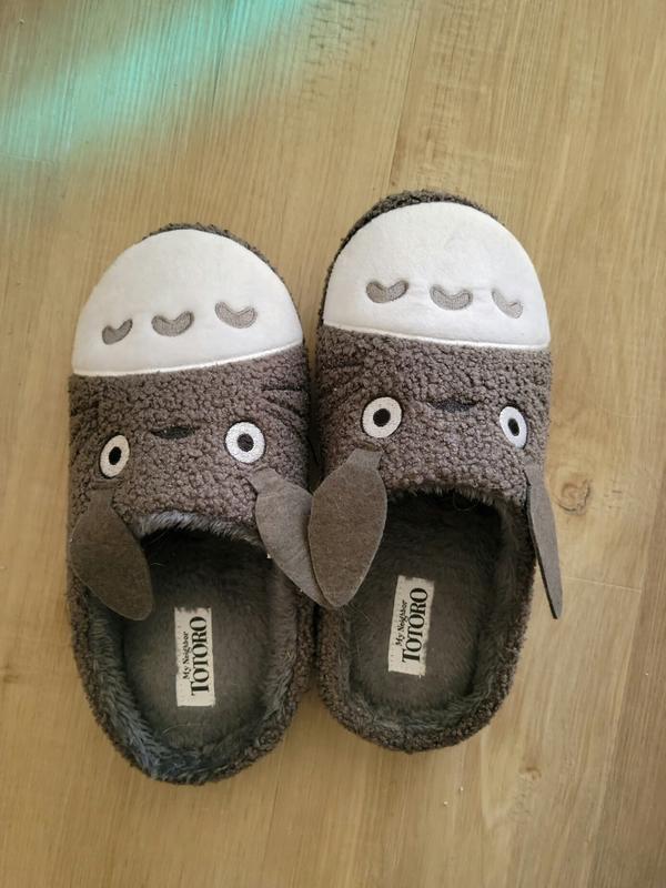 Totoro slippers best sale