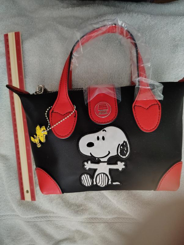 Danielle Nicole Peanuts Snoopy & Woodstock Mini Satchel — BoxLunch