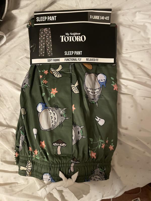 My Neighbor Totoro Underwear Cute Totoro Print Boxer Shorts Hot Man Panties  Soft Shorts Briefs Birthday Gift Größe XXL Farbe As Picture