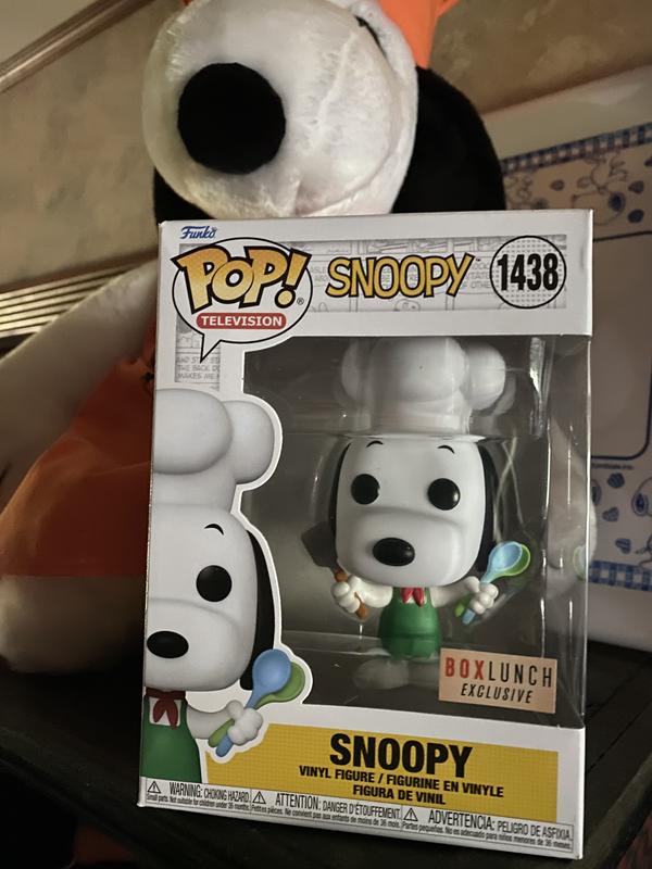 Snoopy on sale pop vinyl