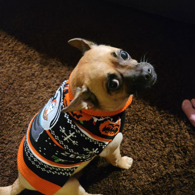 Nightmare before on sale christmas dog sweater