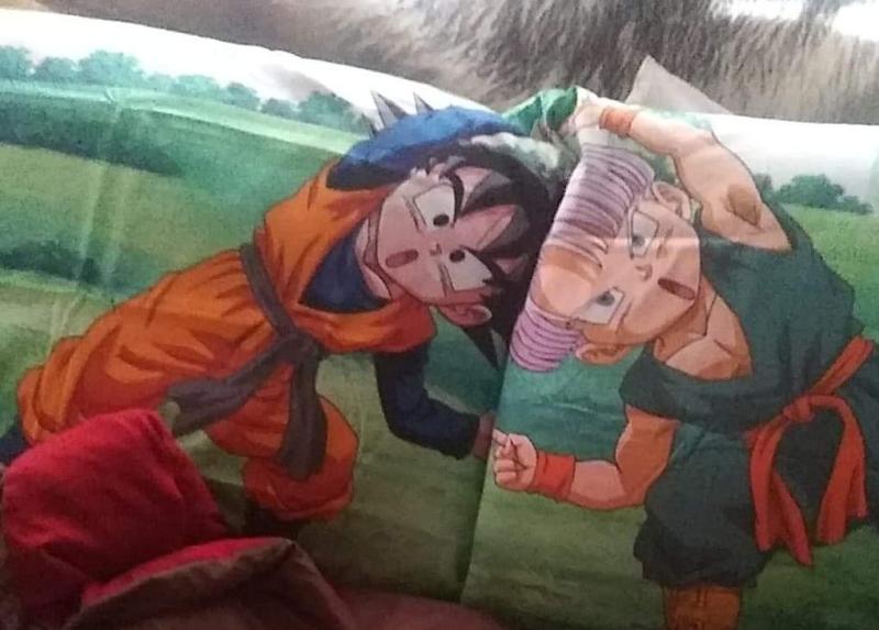 Dragon Ball Z Fusion Dance Pillowcase Set BoxLunch