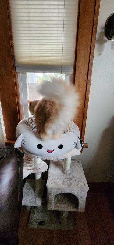 Squishmallows Gordon The Shark Pet Bed - Chaar